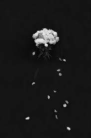 Aesthetic Black And White Cute Pictures 1507683 Black And White Roses Black And White Aesthetic Flowers Photography