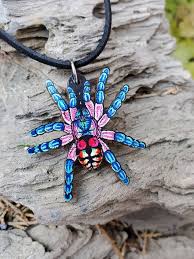 The female brazilian jewel tarantula has more of a claim to fame than just living longer than the male. Brazilian Jewel Tarantula Typhochlaena Seladonia Wooden Etsy