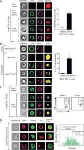 Just now i purchased an apple iphone 4 16gb white unlocked phone (new) and less. Sting Dependent Cytosolic Dna Sensing Mediates Innate Immune Recognition Of Immunogenic Tumors Abstract Europe Pmc