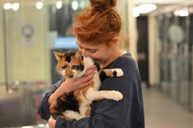 Mewsic kitty is the best place in nashville to adopt a cat. These 9 Celebrities Love Their Rescue Cats And Now You Will Too Mtv