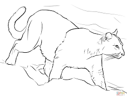 600x800 a puma and a leopard tiger in the wild coloring page. Puma Coloring Page Free Coloring Library