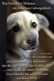 Pin Von Gabi Bogosch Auf Hunde Katzenbesitzer Hund Zitat Spruche Tierliebe Spruche Tiere