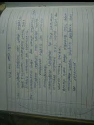 Mengacu pada pengertian visi dan. Visi Misi Menjadi Sekretaris Mpk Brainly Co Id