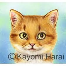 Pin By Okssem On Cat Heads In 2020 Cute Cats Kittens Cats