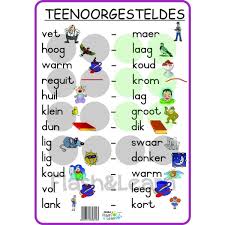 Teenoorgesteldes In 2020 Classroom Posters Language Poster