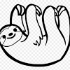Animals that inhabit the rainforest canopy include lemurs, spider monkeys, sloths, toucans, orangutans and parrots. Https Encrypted Tbn0 Gstatic Com Images Q Tbn And9gcqmjhdgix Czjjgwn 0lljh2nyovo77hogldtip1casrcntmats Usqp Cau