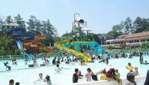 Di daerah ini, cukup banyak kolam renang dengan variasi wahana, fasilitas, dan juga pemandangan yang menarik. 3 Kolam Renang Asyik Di Bandung Beserta Harganya Blog Hotel Bobobox Indonesia