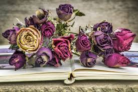 This ombré dried flower wall would also make an amazing photo booth background. How To Create Dried Flowers
