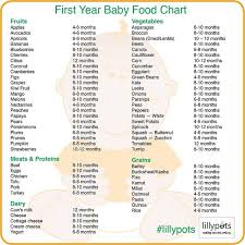 First Year Baby Food Chart Baby Food Recipes One Year