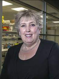 Little materials, bigstor ies