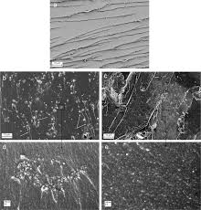 56 просмотров 2 года назад. Cellulose Nanocrystal A Promising Toughening Agent For Unsaturated Polyester Nanocomposite Sciencedirect