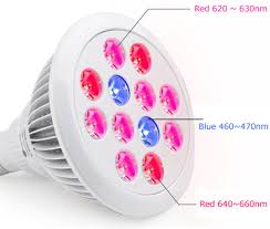 We did not find results for: Taotronics 24 Watt Led Grow Light Bulb Review Indoorgrowledlights Com