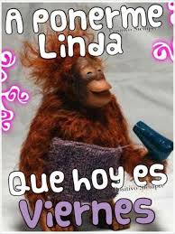 Además, te proponemos otros recursos para profesores que quieren organizar un festival de final de curso o actividades divertidas para los últimos días de colegio de sus alumnos. Imagenes Bonitas Del Dia Viernes Para Grupos De Facebook O Whatsapp