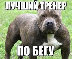 По Киеву в рамках "Бега за Украину" пробегут европейские политики - Цензор.НЕТ 4359