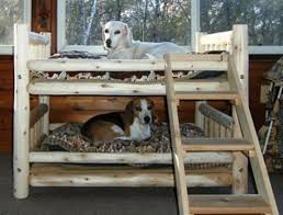 Making a large dog bed. Cute Dog Bunk Beds Novocom Top