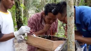 Cara terbaik mengamalkan pengambilan madu ialah membancuhnya dengan air, bukan memakan madu secara terus. Mau Dapat Sensasi Baru Minum Madu Datangi Tempat Ini Minumnya Main Sedot Bangka Pos