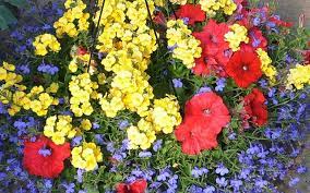 Pin On Planter Ideas