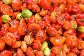 Todo aji dulce fresco aji dulce fresco españa caja 1kg aji dulce caja 2kg aji dulce caja 3kg aji dulce caja 4kg aji. How To Grow Aji Dulce Pepper In A Pot