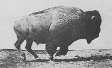 We did not find results for: Aufgabenfuchs Altsteinzeit