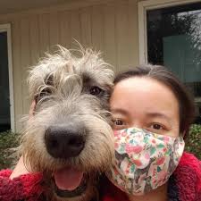 Profile for Super-Pups Dog Training