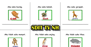 Had done latihan 1 12. Materi Bahasa Inggris Kelas 3 Sd Animals Mengenal Nama Nama Hewan Lengkap Dengan Gambar Sekolah Dasar Islam