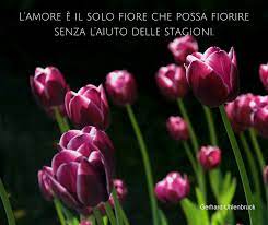 Pin On Flowers Nature Quotes