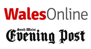 Image result for the evening post logo