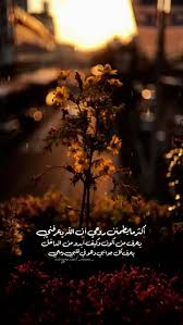 مقولات مبدعة Arabic Love Quotes Islamic Pictures Arabic Quotes