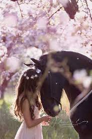 timeline photos i m a horseaddict pferdegesicht pferdefotos schone pferde
