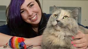 The Lost Dogs Home is giving away cats for free aged six months and over