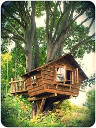 Pallets in the garden ❯ animal pallet houses & pallet supplies ❯ rabbit house out of recycled pallets. This Reminds Me Of My Cousins Tree House We Used To Go In Childhood Memories Tree House Designs Cool Tree Houses Wood Tree