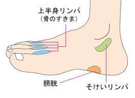 私は むくみ知らず 毎日たった10分のリンパマッサージ3step mery メリー リンパマッサージ ヘルスフィットネス 下半身ダイエット