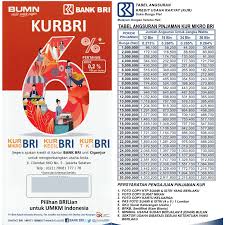 Bank akan meminta bukti riwayat transaksi keuangan saat anda hendak mengajukan pinjaman seperti kredit pemilikan rumah (kpr), kredit kendaraan . Pinjaman Kur Bri Bunga Syarat Tabel Angsuran Cara Pinjam Uang