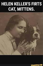 Helen Keller S Firts Cat Mittens Ifunny