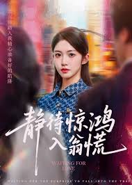 静待惊鸿入翁慌》最新上映高清-超清爽文短剧在线观看-漫影坊