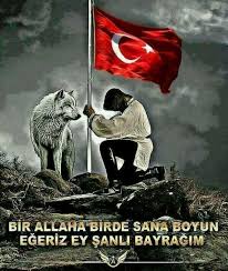 Srf Akdeniz Ege On Resim Turkiye Bayrak