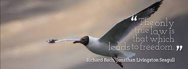 On his first solo album in 1985 the musician sting released a song called: Quotes From Jonathan Livingston Seagull By Richard Bach Aamil Syed
