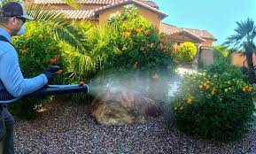 Prompt service.* bulwark is the top choice for san antonio pest control & extermination. Bulwark Exterminating Up To 67 Off San Antonio Groupon