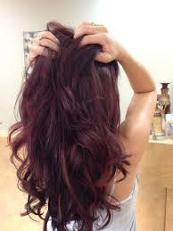 Red Violet Hair Color With Red Burgundy Highlights Violet Hair Colors Violet Hair Red Violet Hair