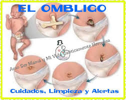 Amo Ser Mama Y Mi Vida Caoticamente Hermosa El Ombligo Del Bebe Al Nacer El Bebe Pierde El Unico Contacto Organico Que Tenia Con Su Mama El Cordon Umbilical Tras