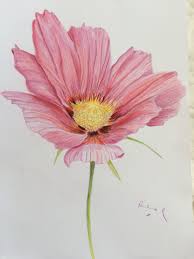 We did not find results for: Faber Castell Polychromos Coloured Pencil Flower Art Flower Drawing Pencil Flower Art