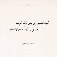 شعر قيس بن الملوح كيف السبيل إلى ليلى وقد حجبت عالم الأدب Arabic Poetry Arabic Calligraphy Poetry
