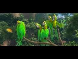 Birds Of A Feather Song Rio Rio Movie Little Miss S I Love The Soundtrack Rio Movie Movies Movie Clip