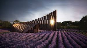 In addition to the uses and benefits mentioned here, lavender essential oil can be used for just about anything you want. Voco Luxury Hotel In Australian Lavender Fields Ubm Magazin