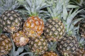 Tingkat keasaman yang tinggi dapat ada yang beranggapan kunyit dapat berpotensi menggugurkan kandungan. Wow Inilah 30 Manfaat Buah Nanas Bagi Kesehatan Dan Kecantikan Honestdocs