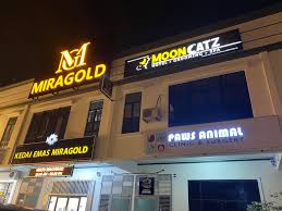 Paws Animal Clinic & Surgery (Klinik Haiwan Kota Masai)