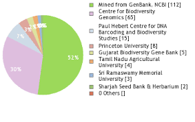 Image result for Sesbania keniensis