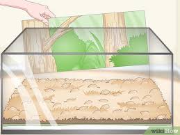 How to Build a Vivarium (with Pictures) - wikiHow