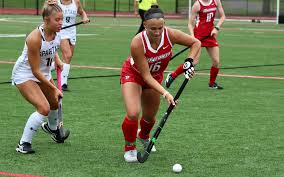 Image result for Emilia hockii