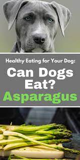 Healthy Eating For Your Dog Can Dogs Eat Asparagus Can Dogs Eat Dog Nutrition Asparagus